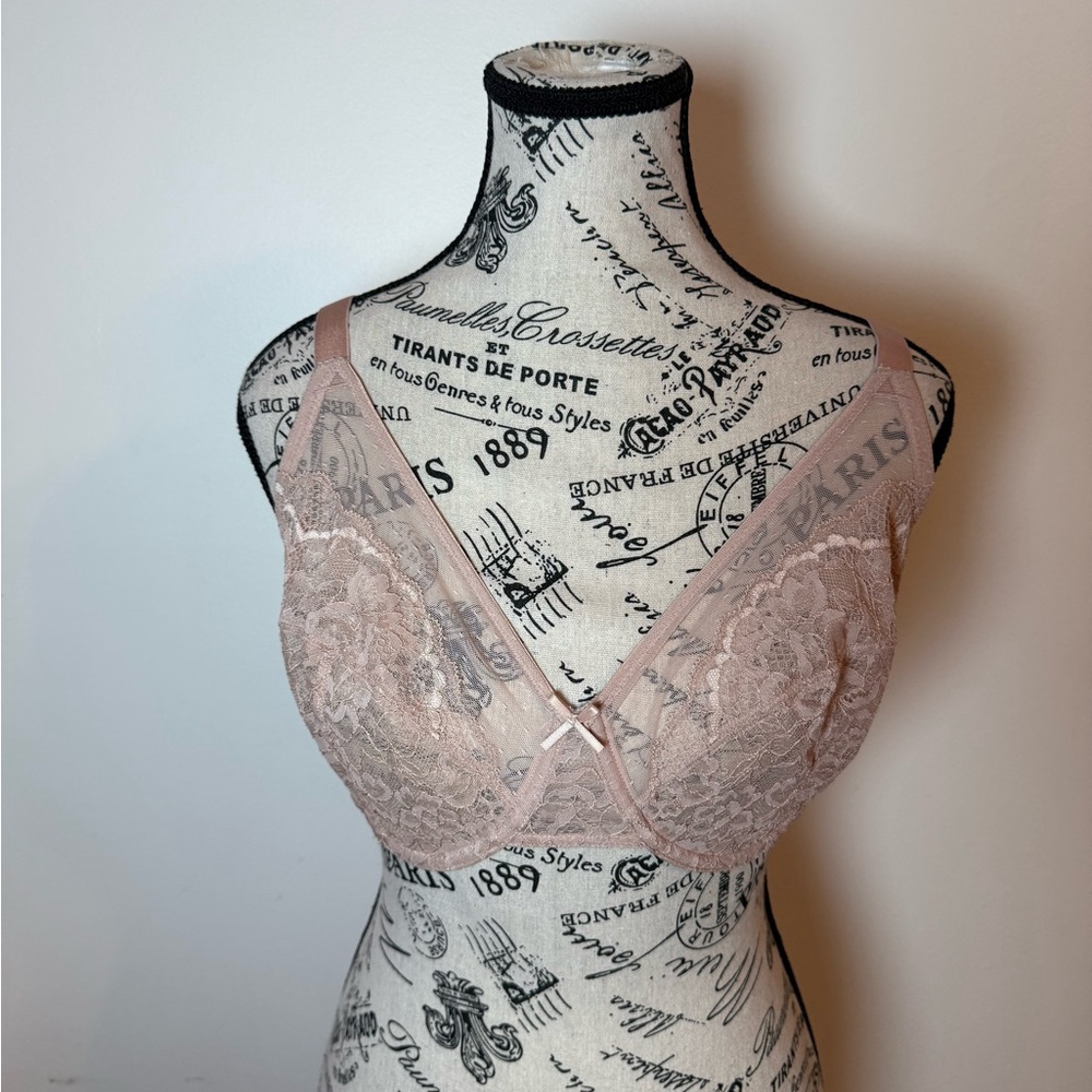 HSIA Elegant Lace Bra‎ in Blush Pink